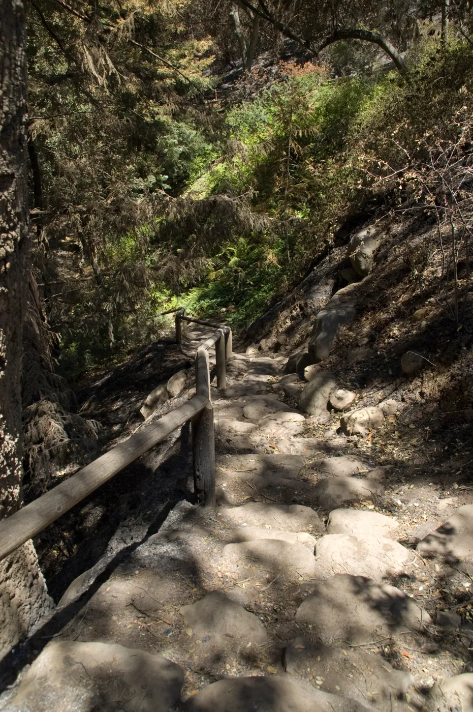 Indian steps after the Jesusita Fire