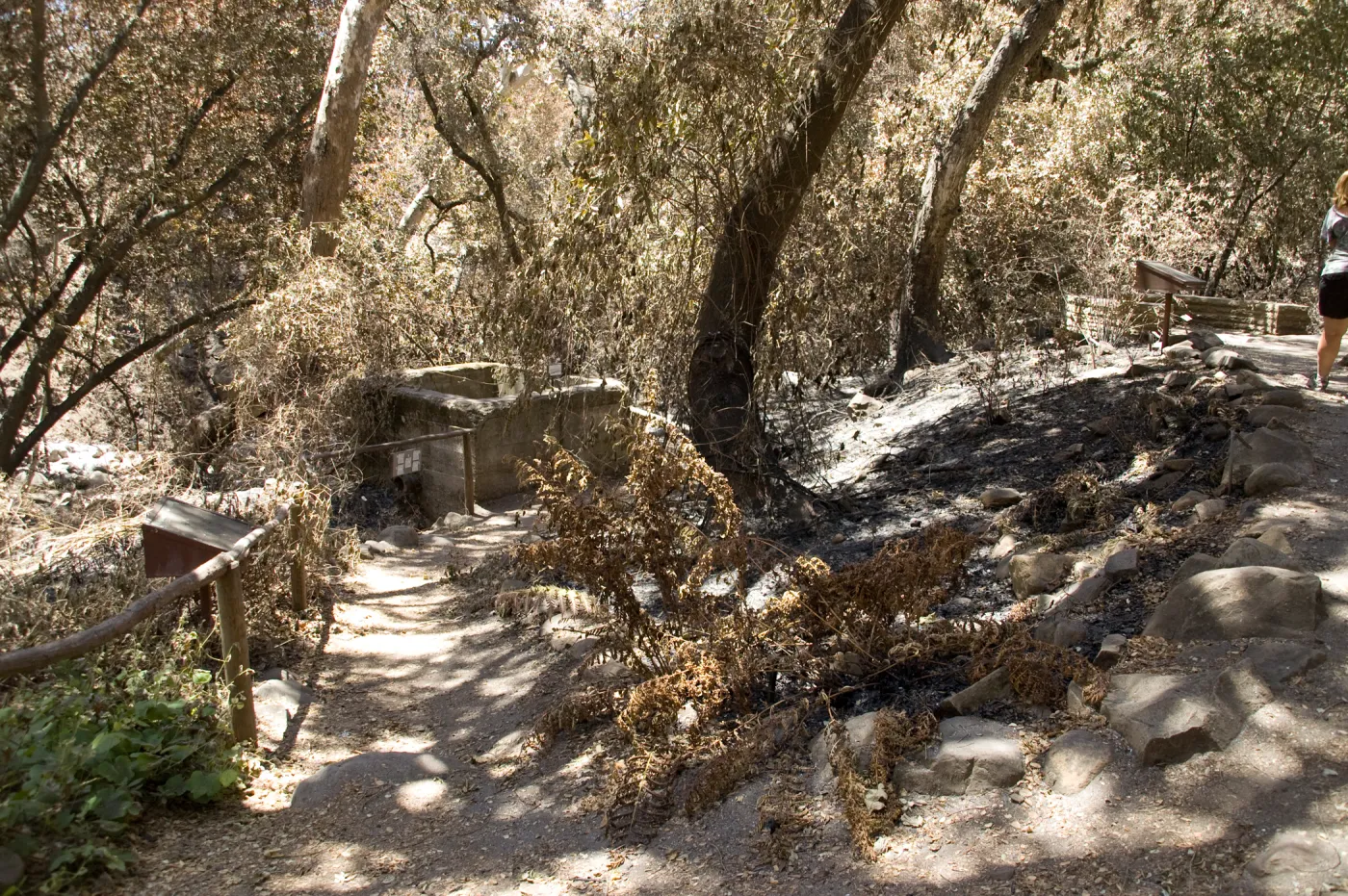 Fiber Arts display area after the Jesusita Fire