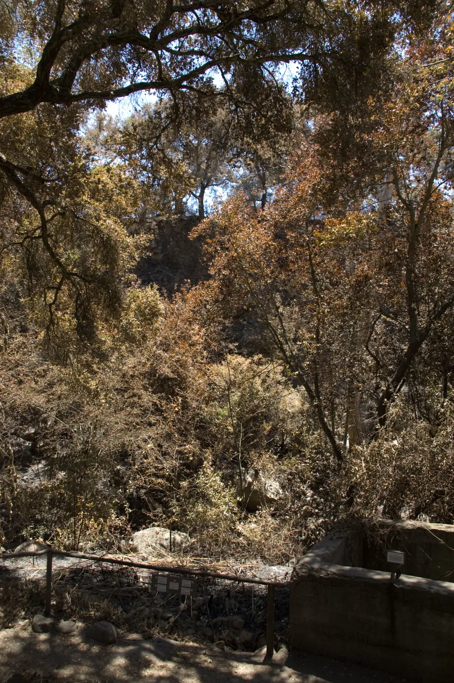 Fiber Arts Display and old aqueduct after the Jesusita Fire