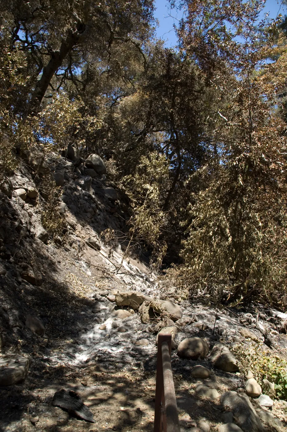 slope of Mission Canyon just above Mission Dam after the Jesusita Fire