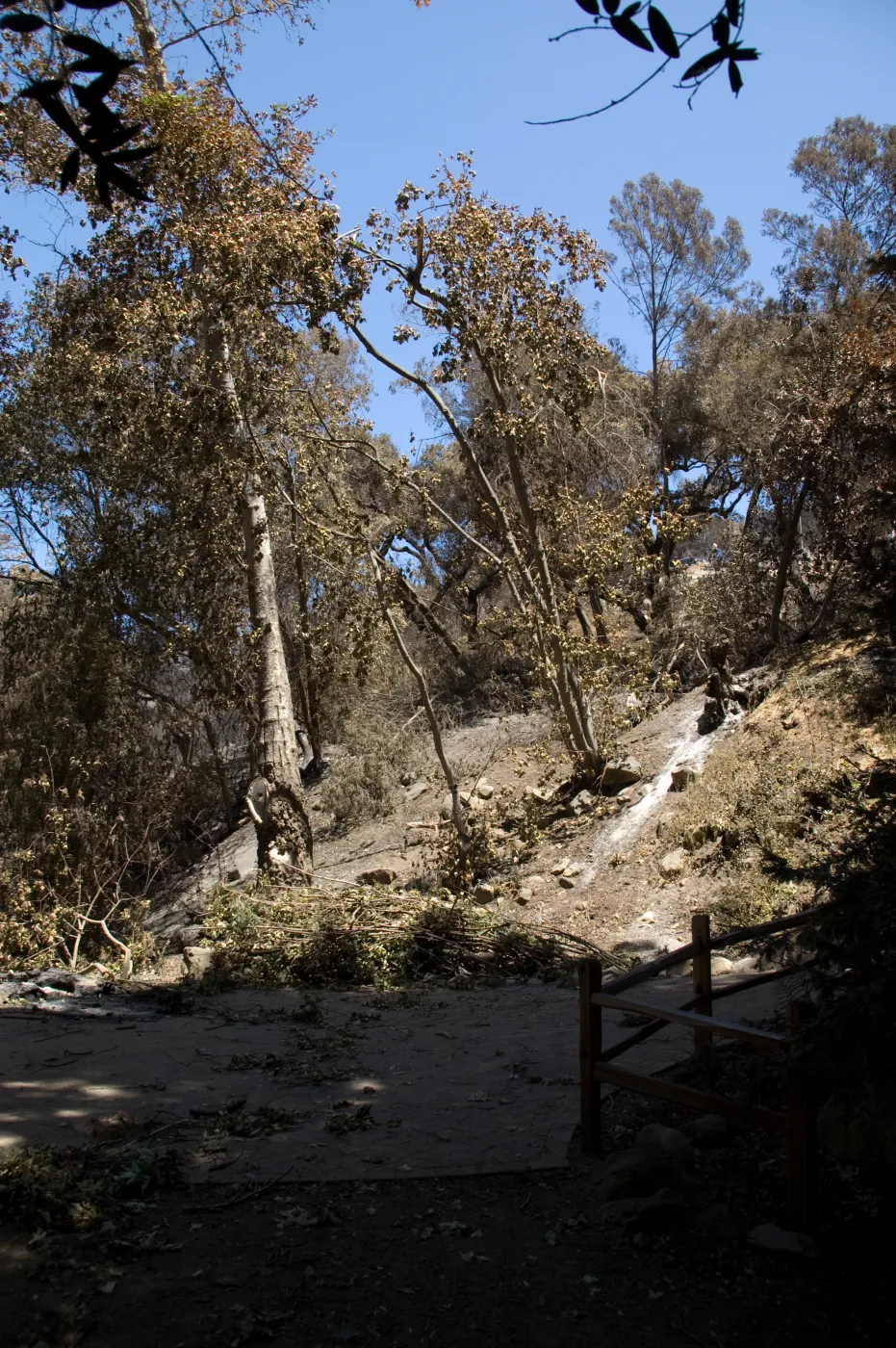 Pavered landing in Redwood Section after the Jesusita Fire