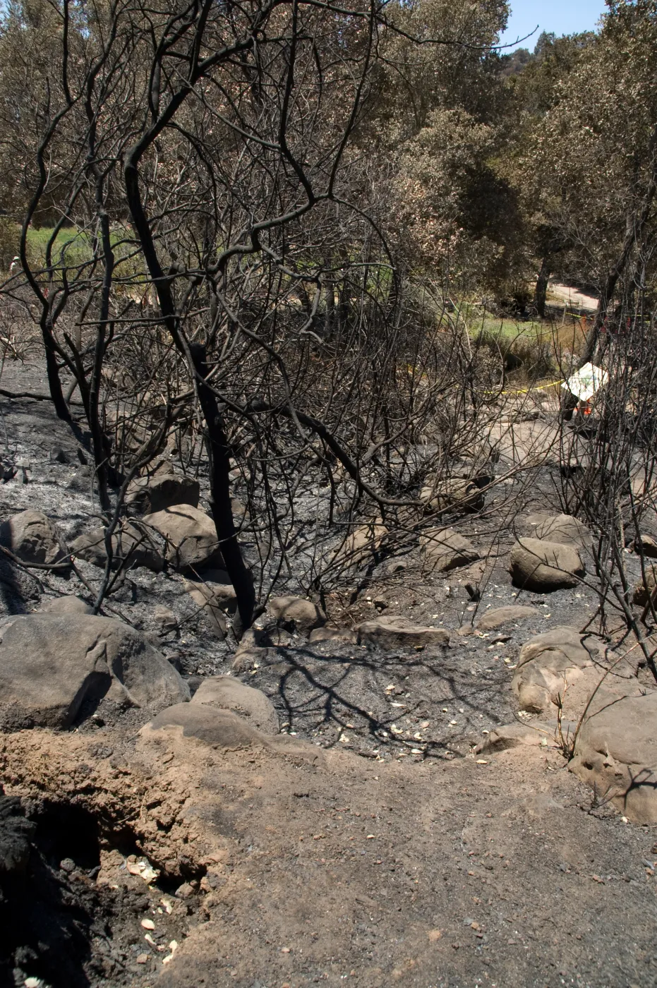 fire uncovered this old rocky creek drainage in th Woodland Trail section after the Jesusita Fire