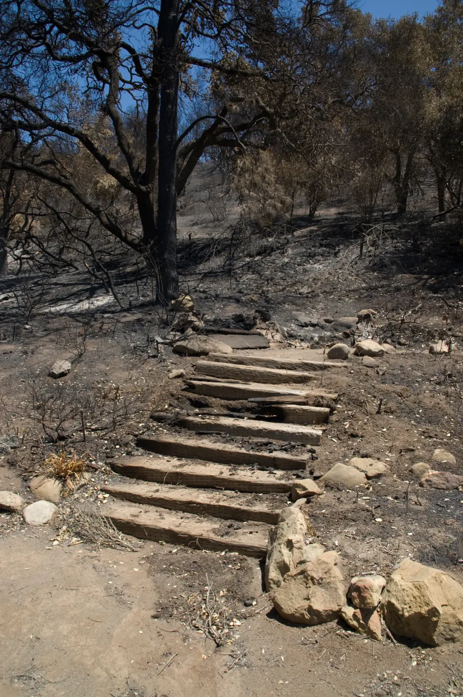 Wood steps at top of Meadow View after the Jesusita Fire