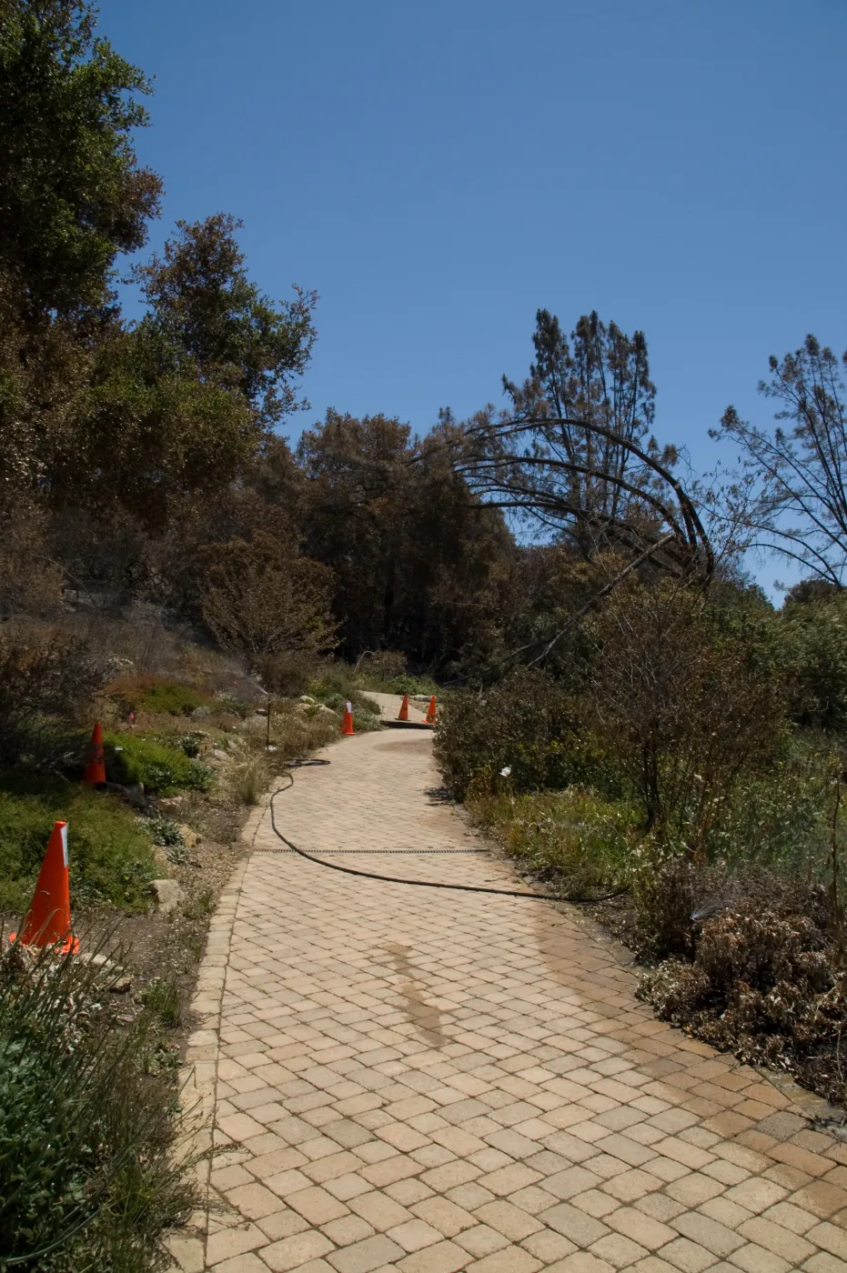 Meadow and Meadow View after the Jesusita Fire