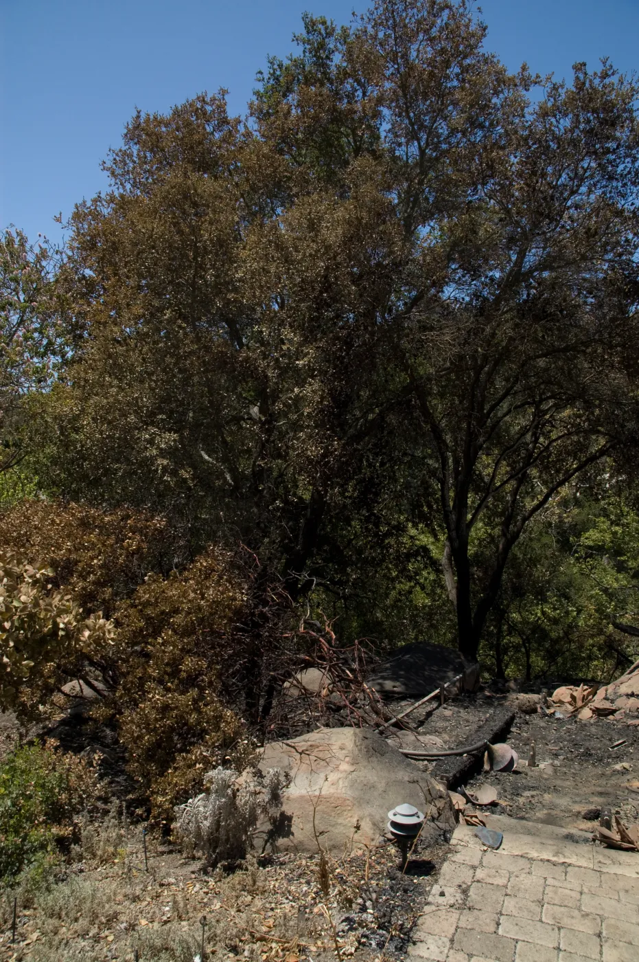 burned wood deck along canyon rim after the Jesusita Fire