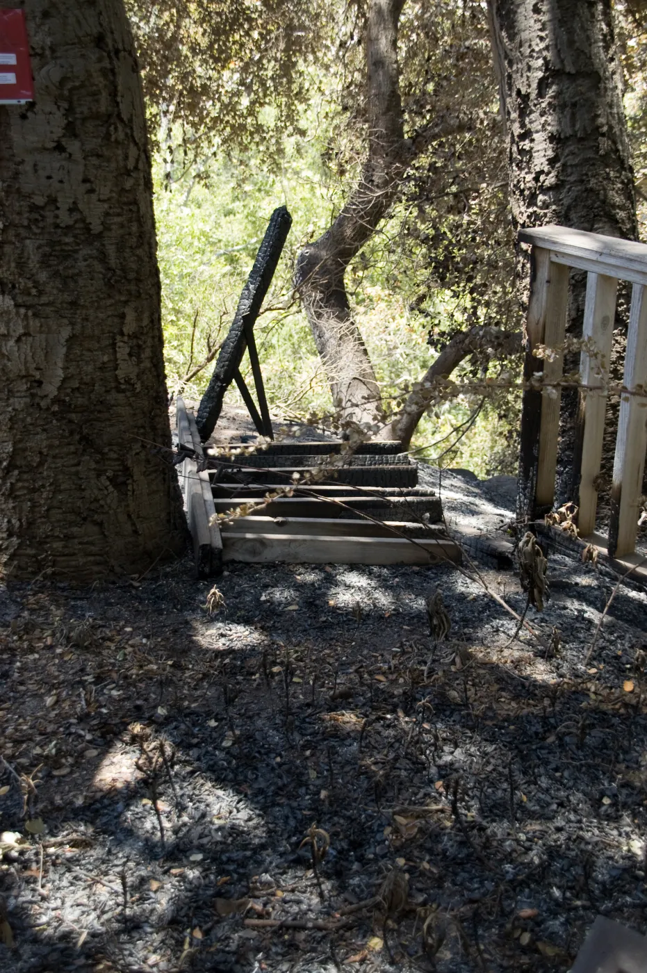 burned railing along the canyon rim, adjacent to the cottage, after the Jesusita Fire