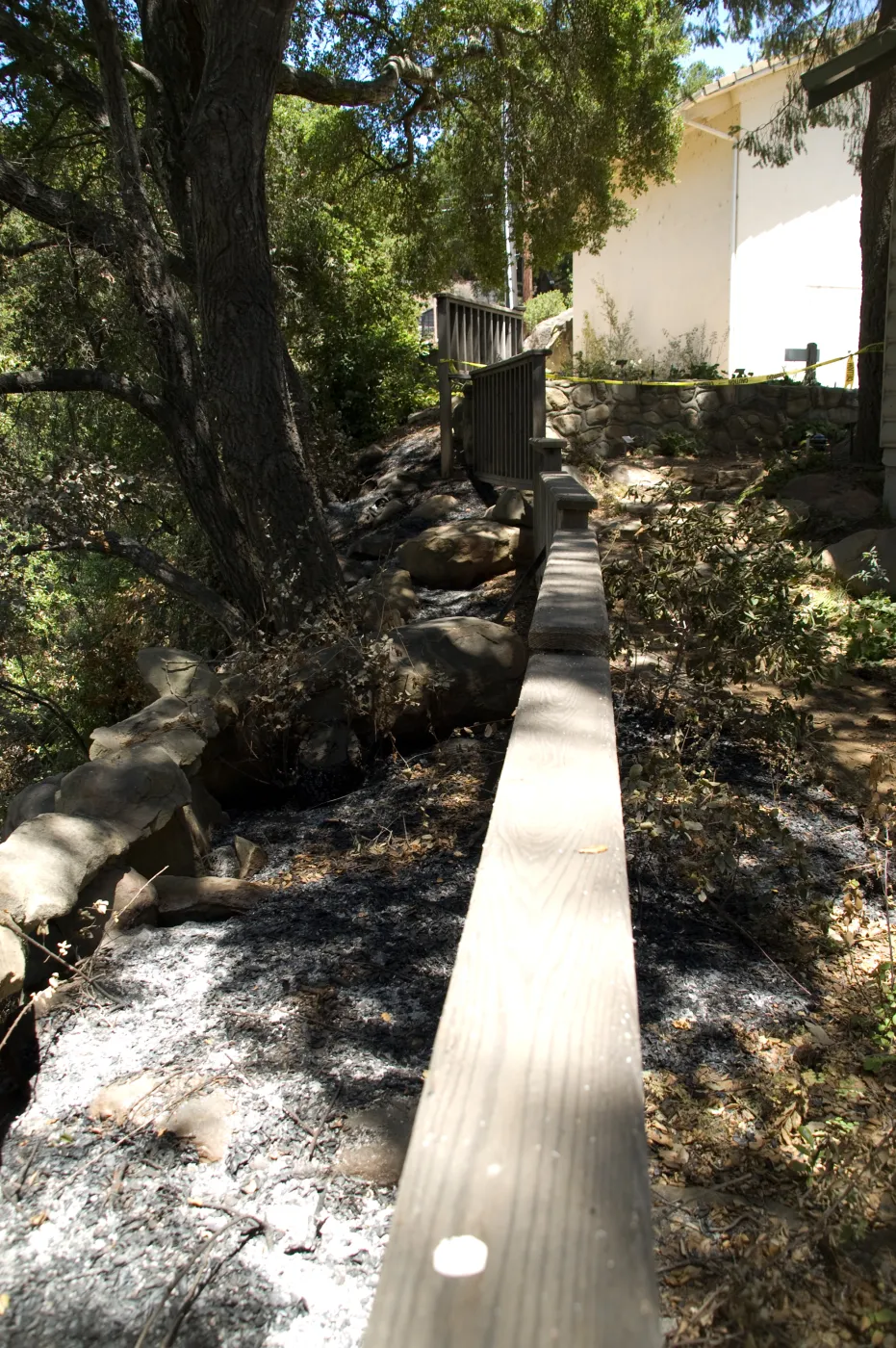 how close the fire got, railing at canyon rim, adjacent to the Cottage and Herbarium building, after the Jesusita Fire