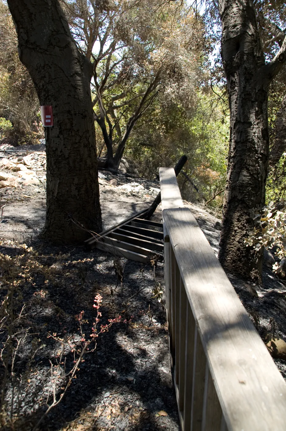burned deck and railing along the canyon rim, adjacent to the Cottage, after the Jesusita Fire