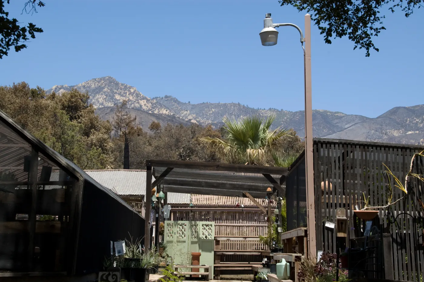 Garden Growers Nursery, with burned area behind, after the Jesusita Fire