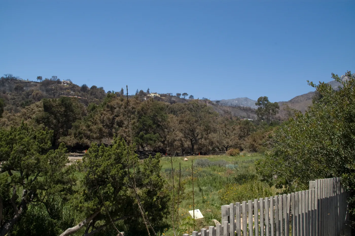 view from parking lot across Meadow to ridge above Tunnel Road after the Jesusita Fire