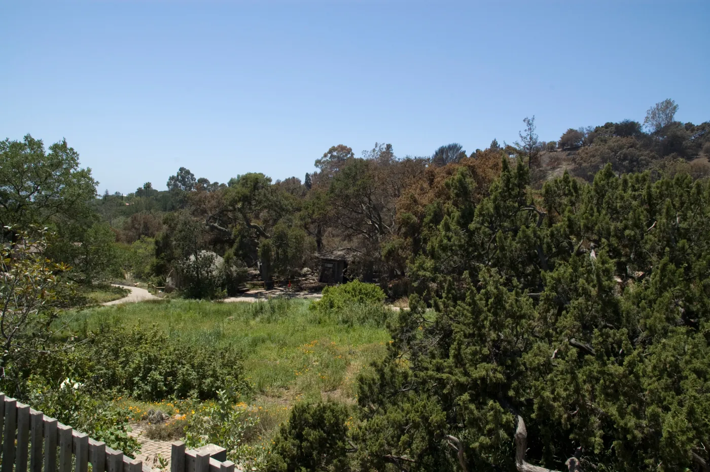 View of the Meadow from the parking lot after the Jesusita Fire