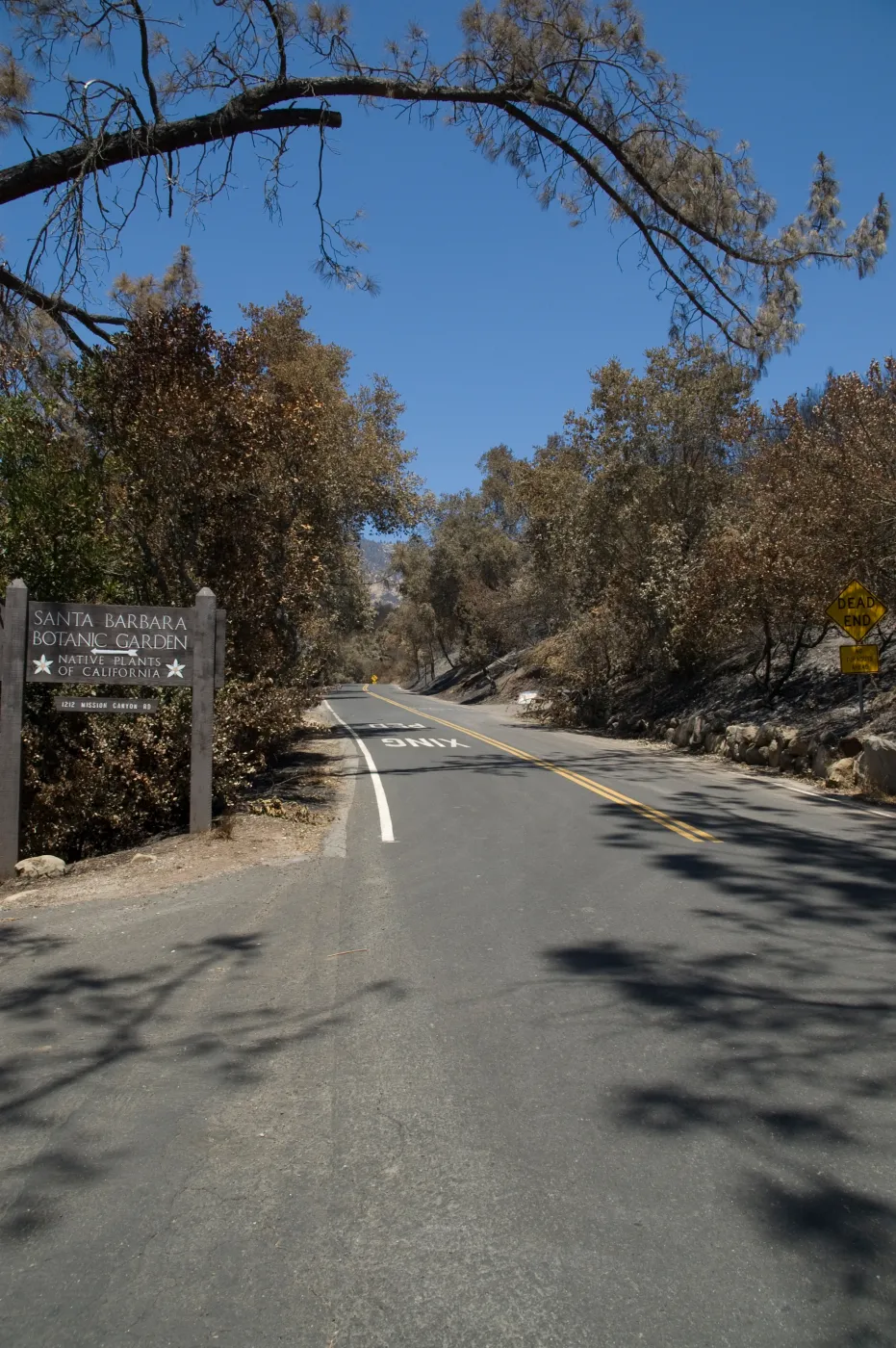 Garden entrance along Mission Canyon Rd after the Jesusita Fire