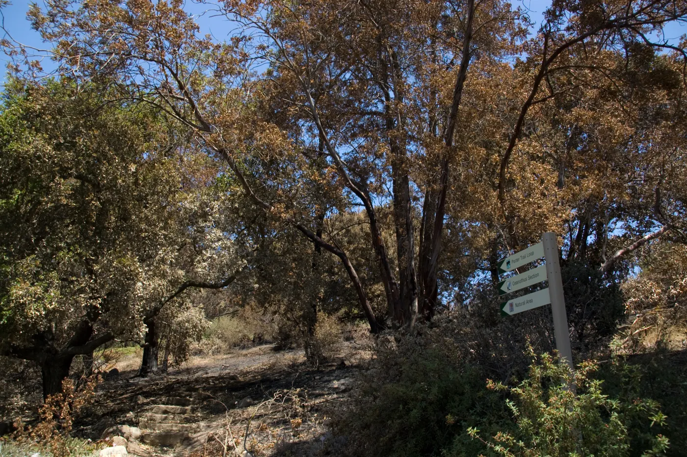 Porter Trail entrance from Mission Canyon Road after the Jesusita Fire