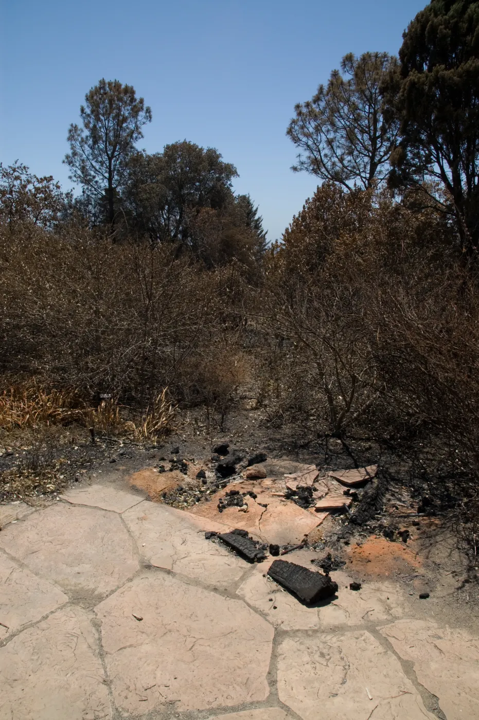 burned wood bench at the top of the Porter Trail after the Jesusita Fire