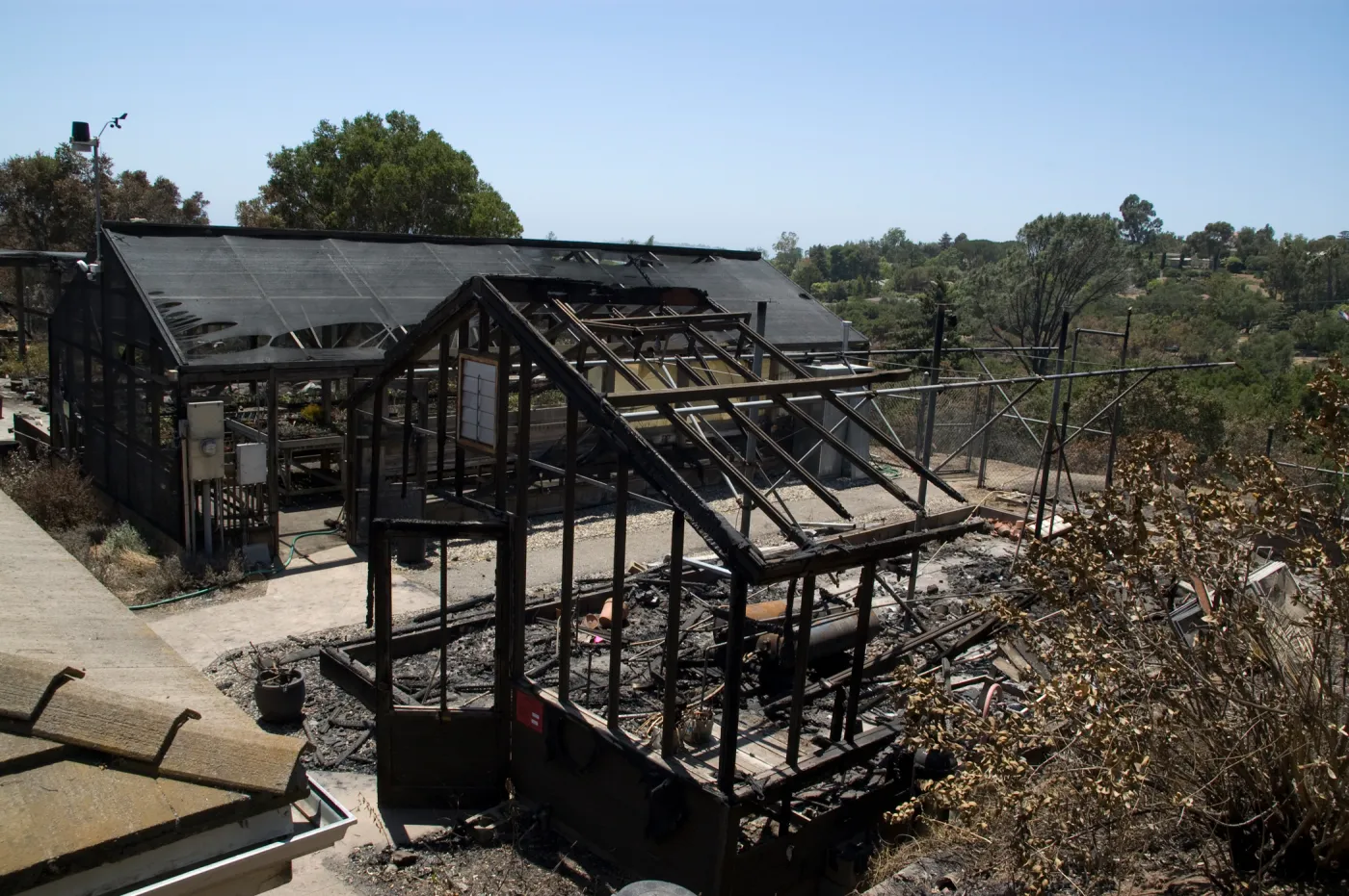 burned lath houses at the Hort unit, after the Jesusita Fire