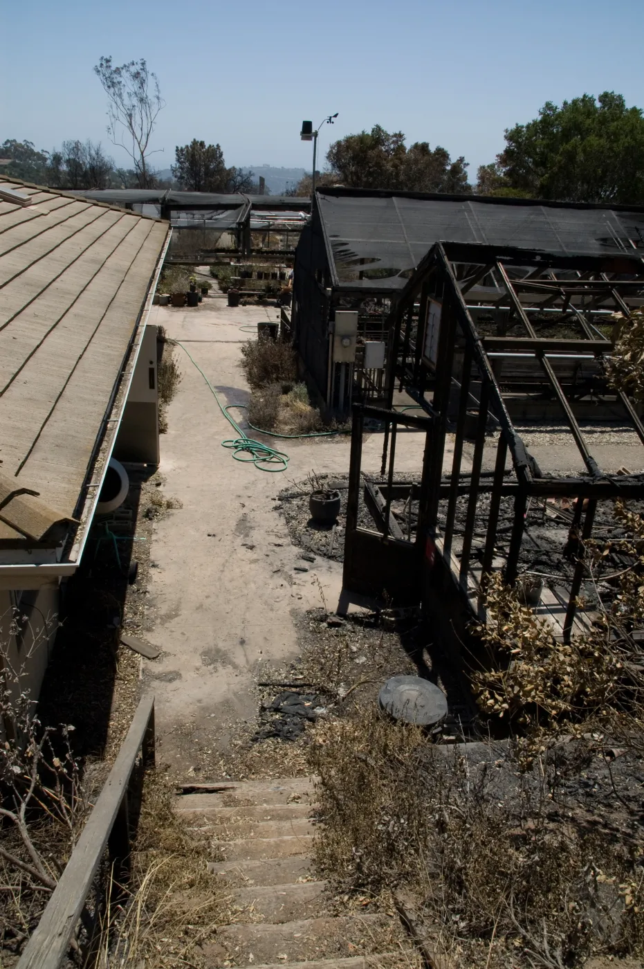 Hort Unit and burned lath houses, after the Jesusita Fire