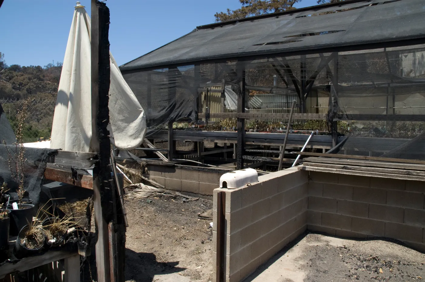 Horticulture Nursery area after the Jesusita Fire