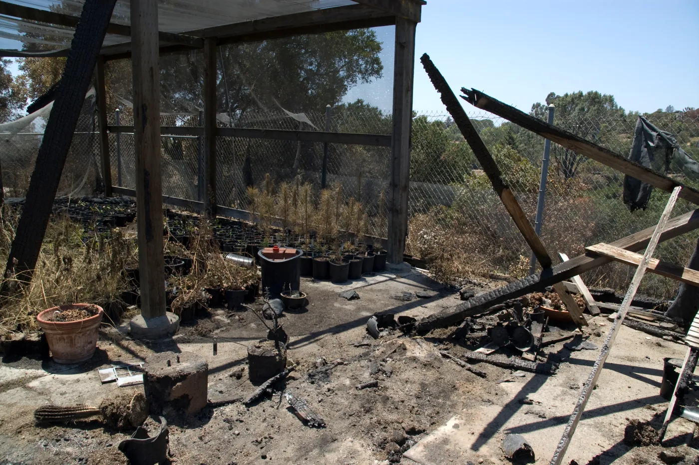 Horticulture Nursery after the Jesusita Fire