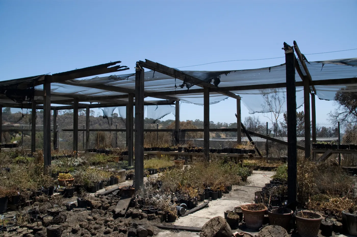 potted plants burned at the Horticulture Nursery growing area, after the Jesusita Fire