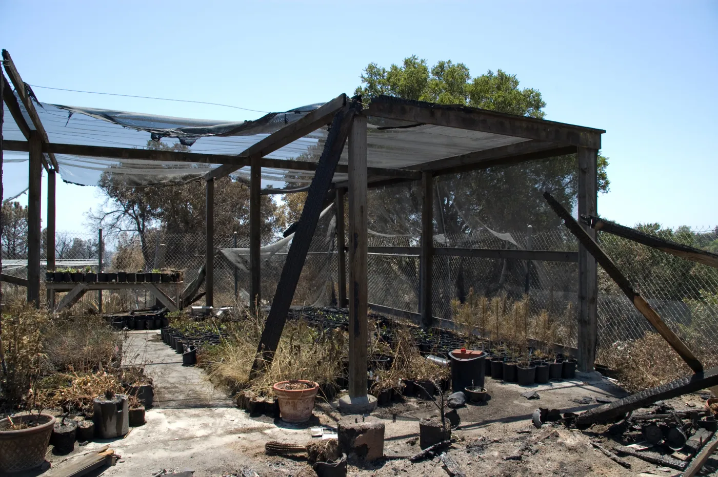 burned Horticulture Nursery, after the Jesusita Fire