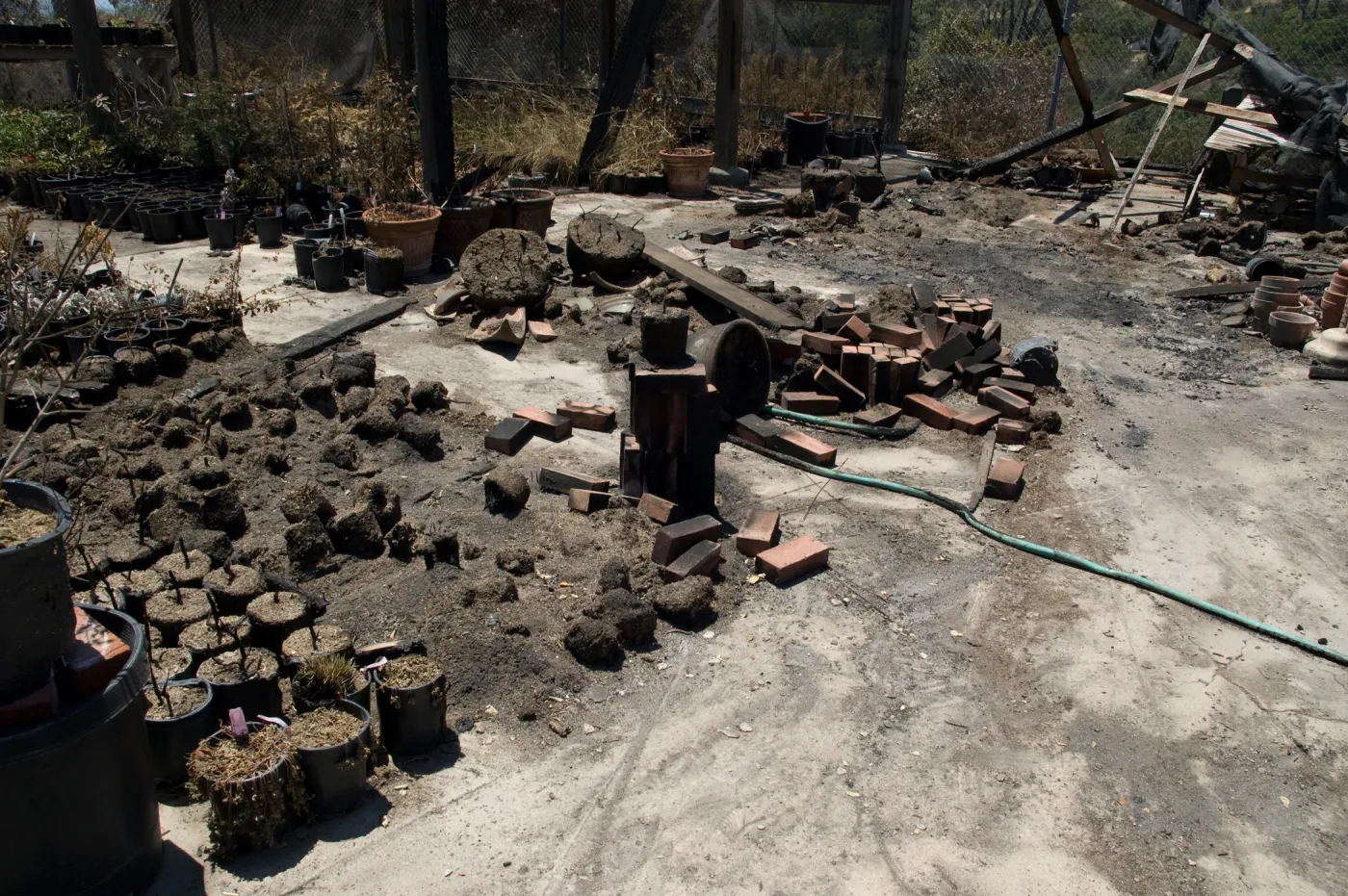 potted plants burned at the Horticulture Nursery, after the Jesusita Fire