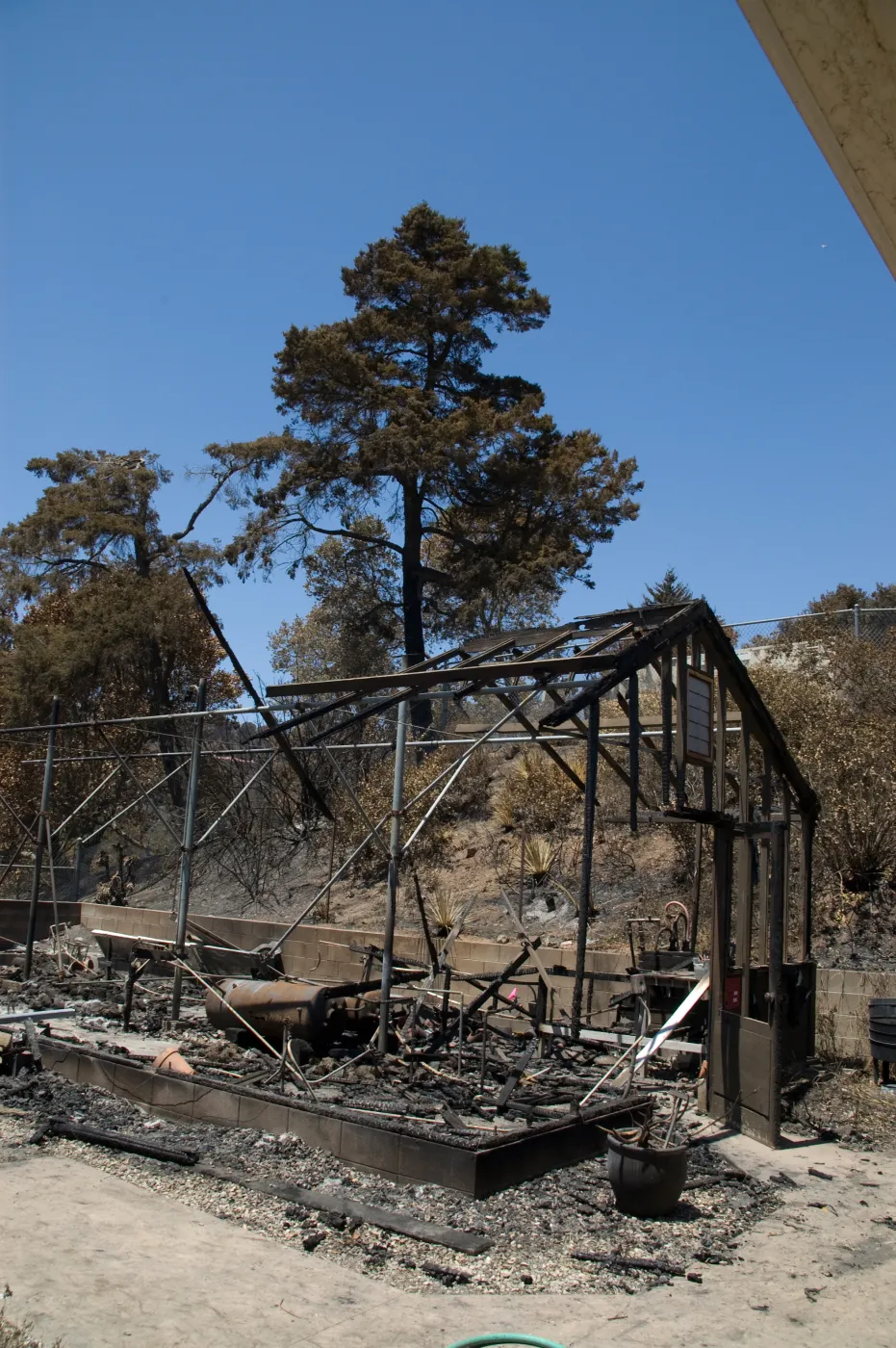 burned lath house after the Jesusita Fire