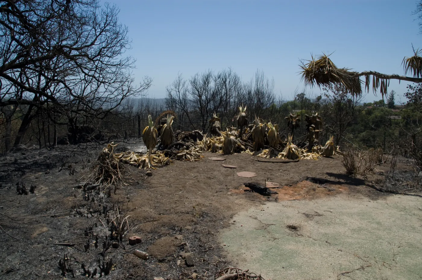 Gane House patio, after the Jesusita Fire