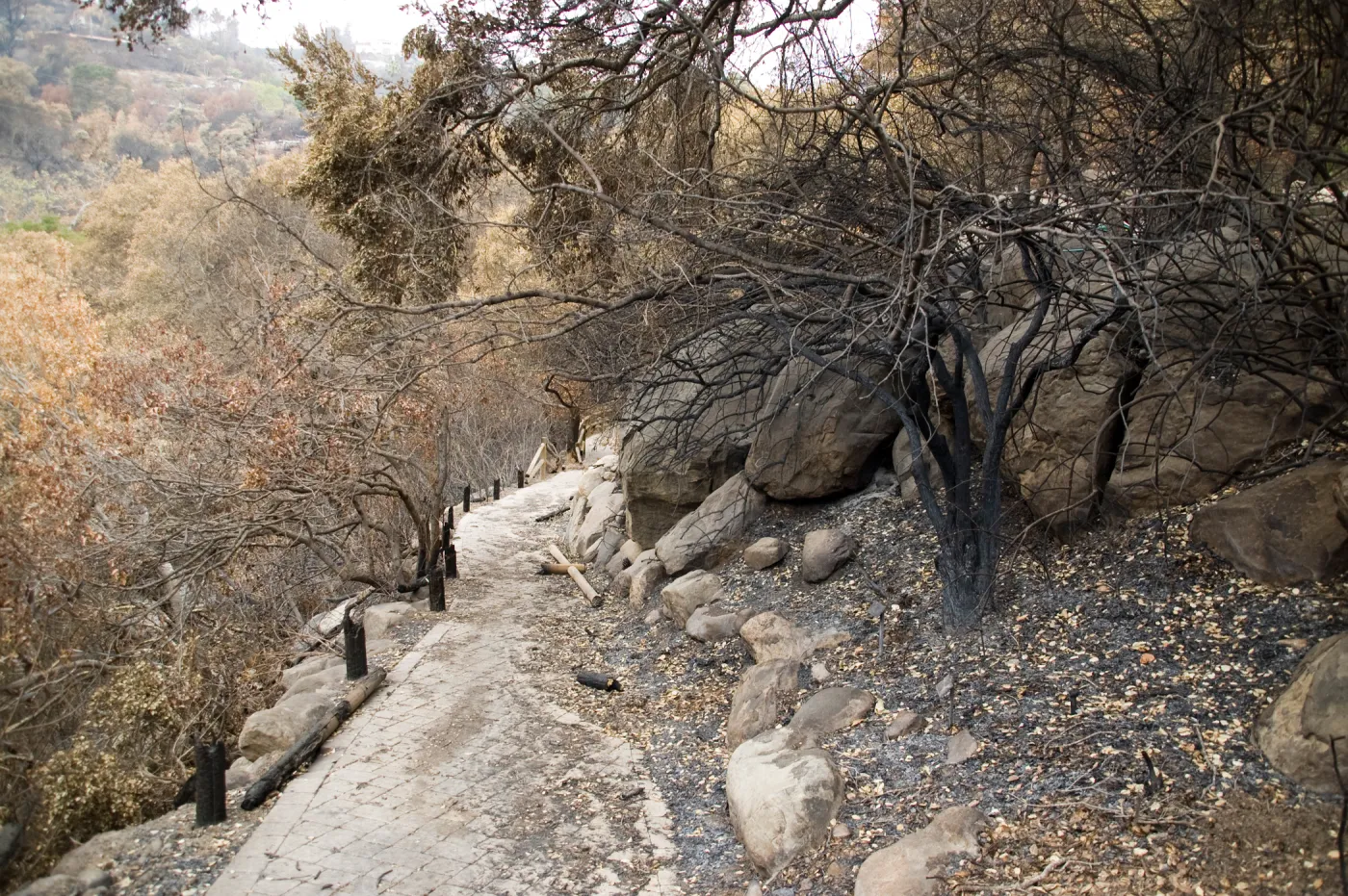 Campbell Trail, after the Jesusita Fire