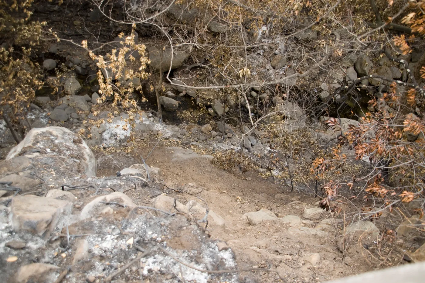 Mission Creek, after the Jesusita Fire