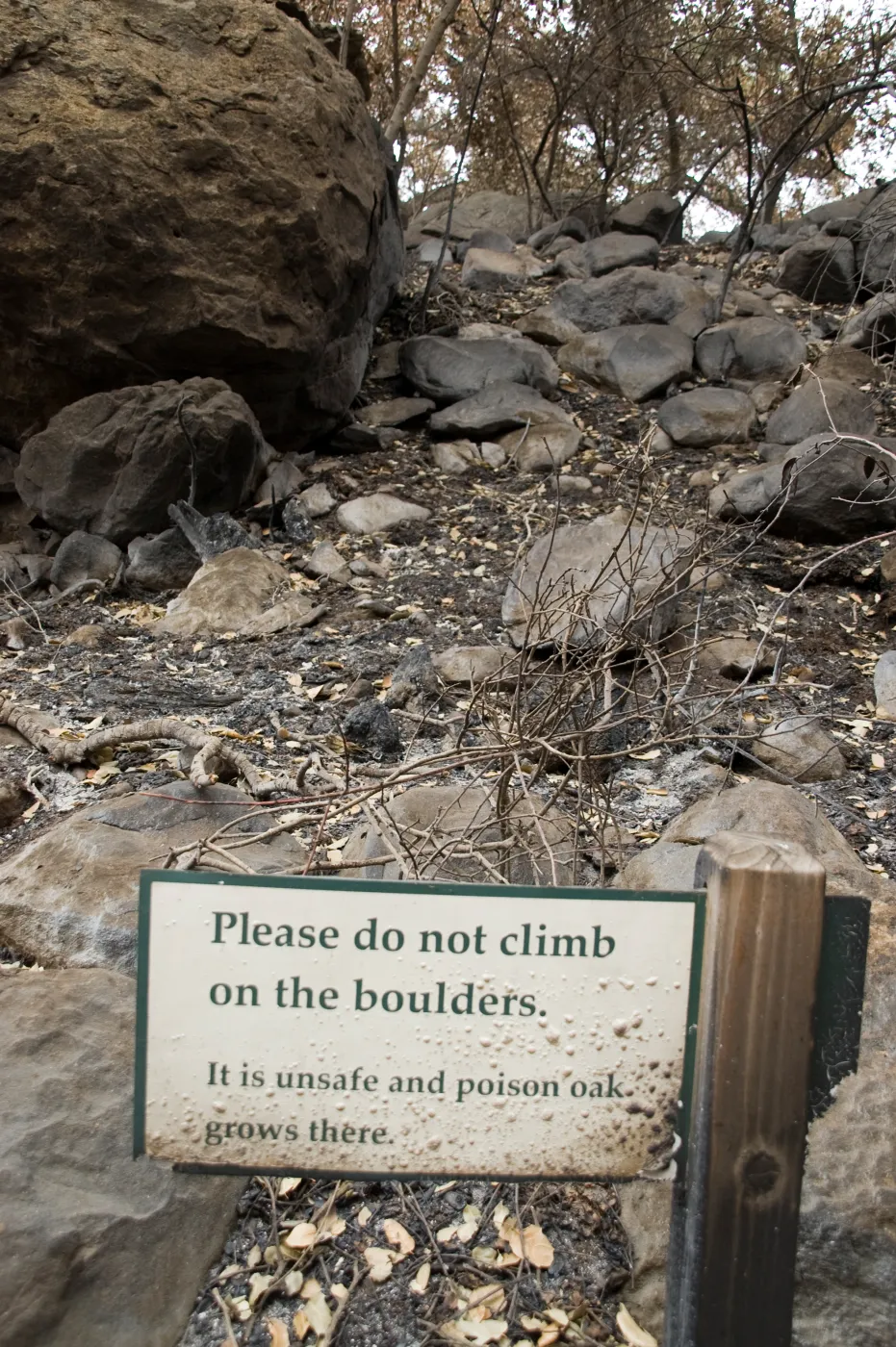 burned sign on Campbell Trail slope, after the Jesusita Fire