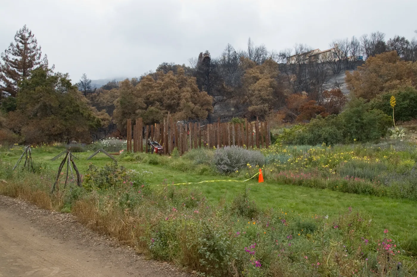 view of Meadow with burned area behind, after the Jesusita Fire