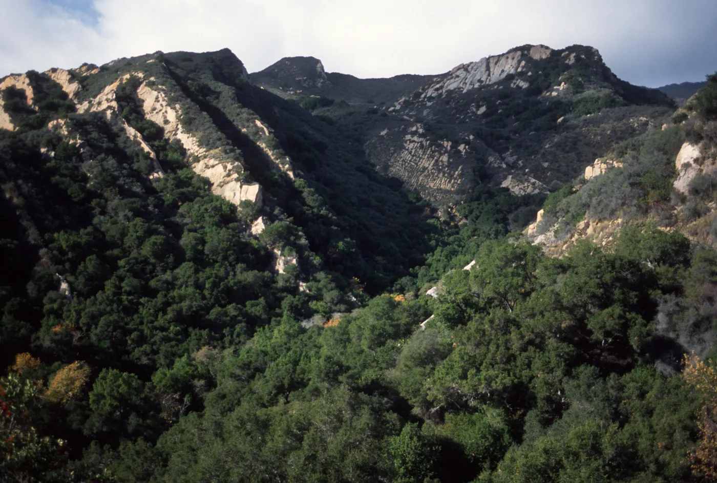 Arroyo Hondo reserve