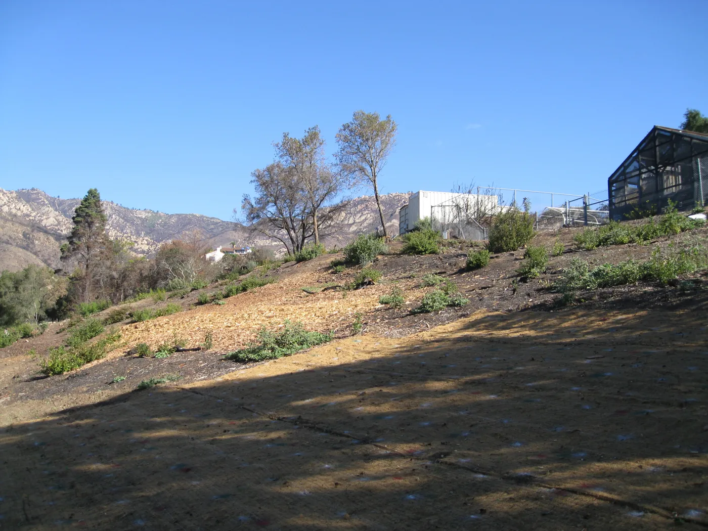 Clearing in Cypress Section after Jesusita Fire