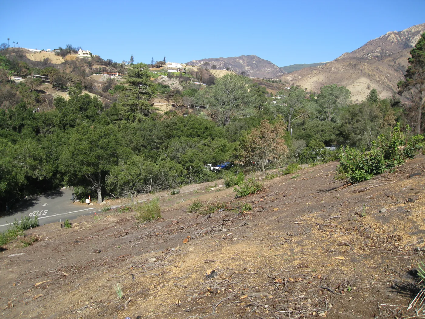 Clearing of Cypress Section after Jesusita Fire