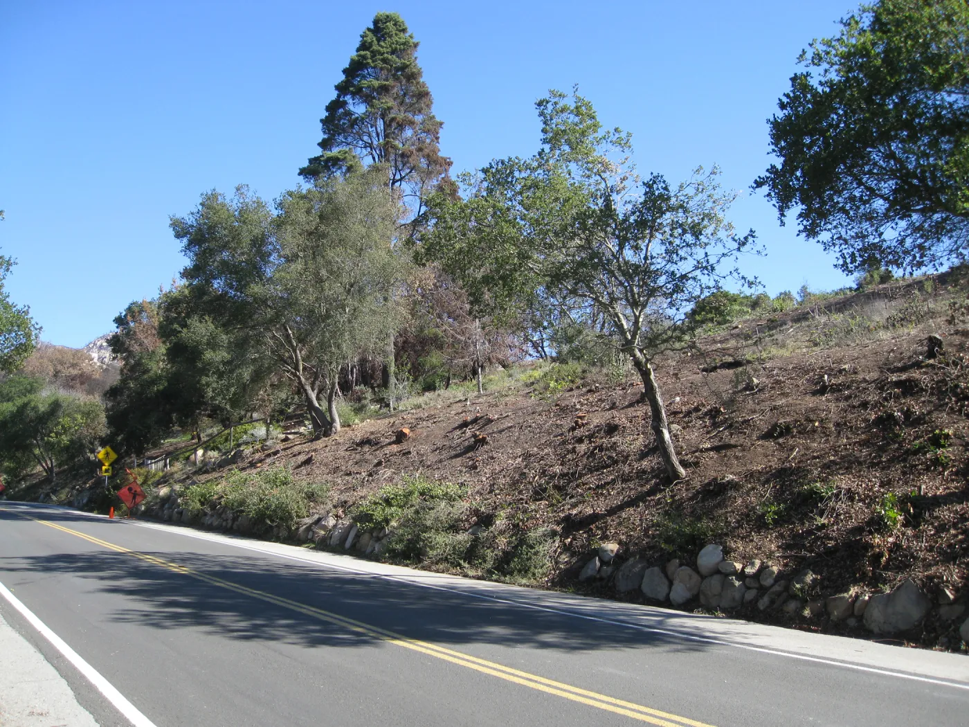 Clearing along Mission Canyon Rd after Jesusita Fire