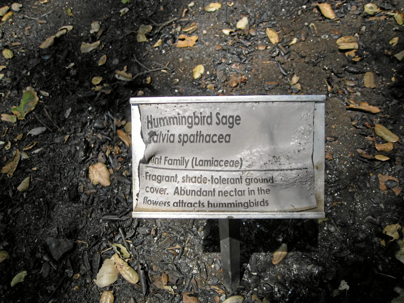 Melted Public Info Sign, Home Demonstration Garden