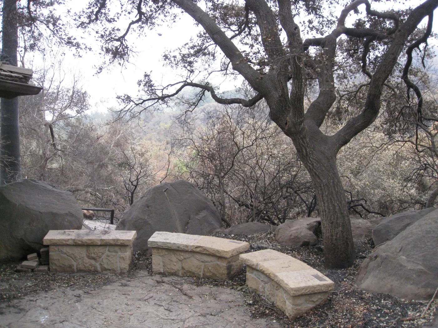 Santa Barbara Botanic Garden after the Jesusita Fire