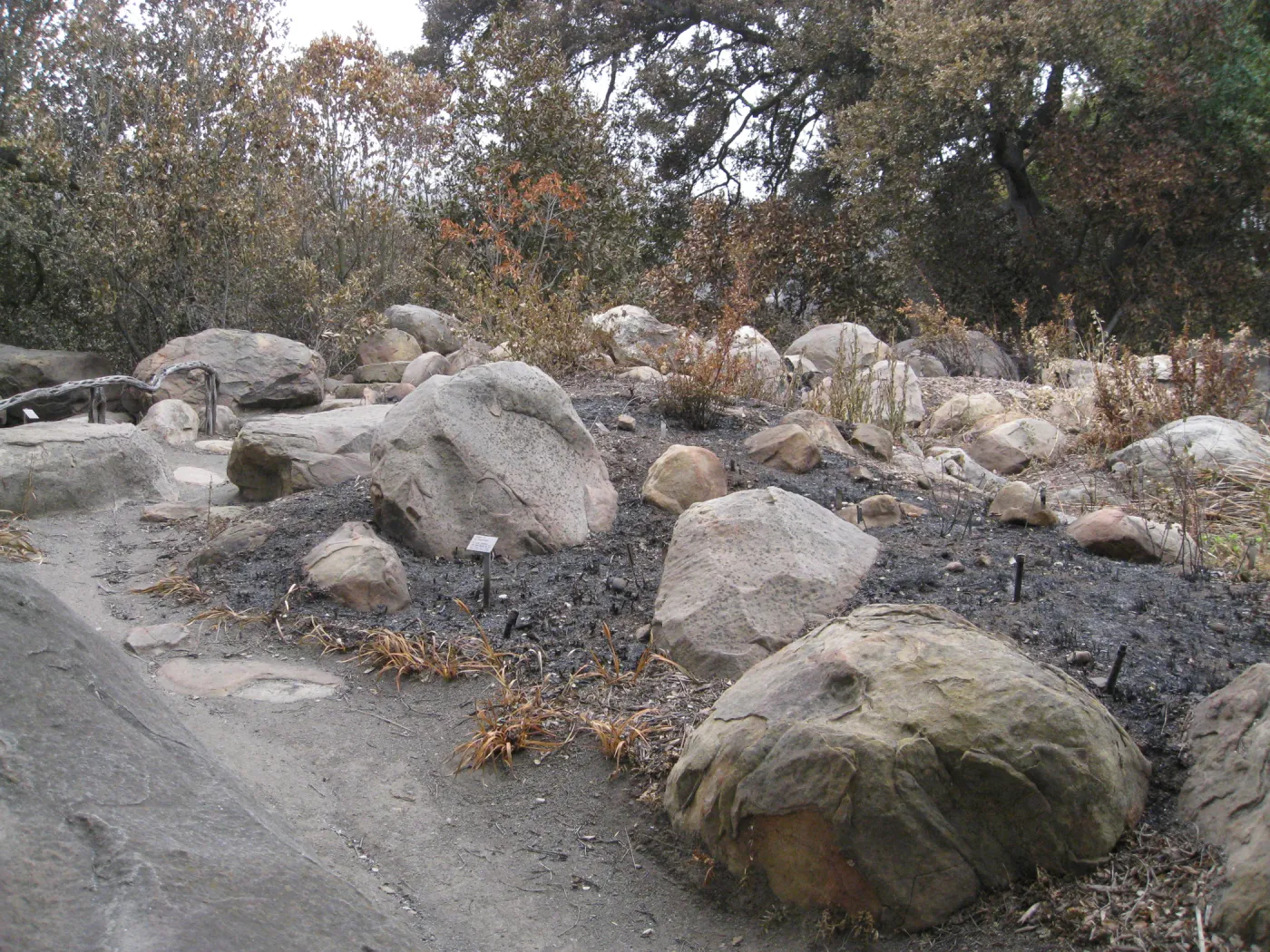 Brook display after the Jesusita Fire