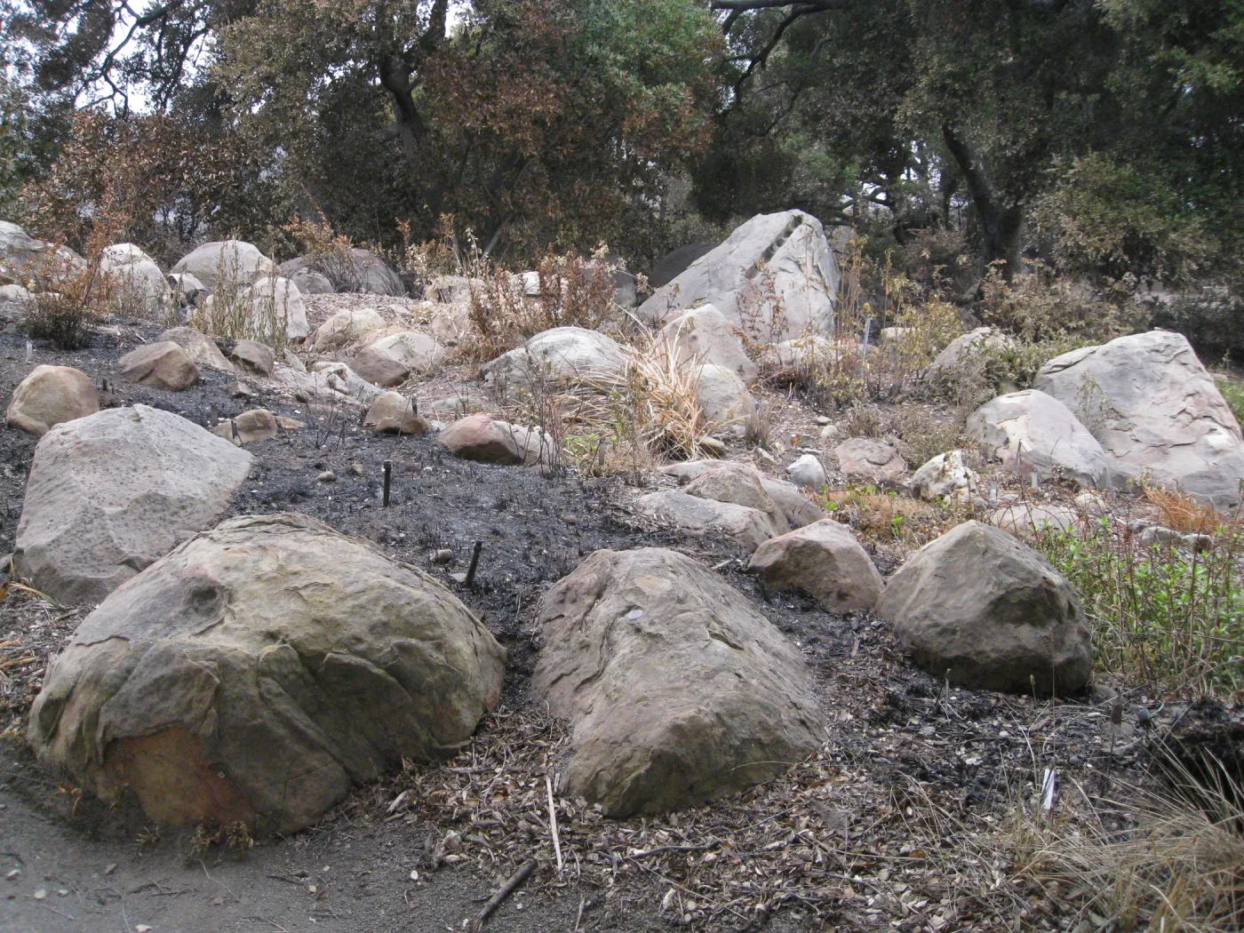 Brook display after the Jesusita Fire