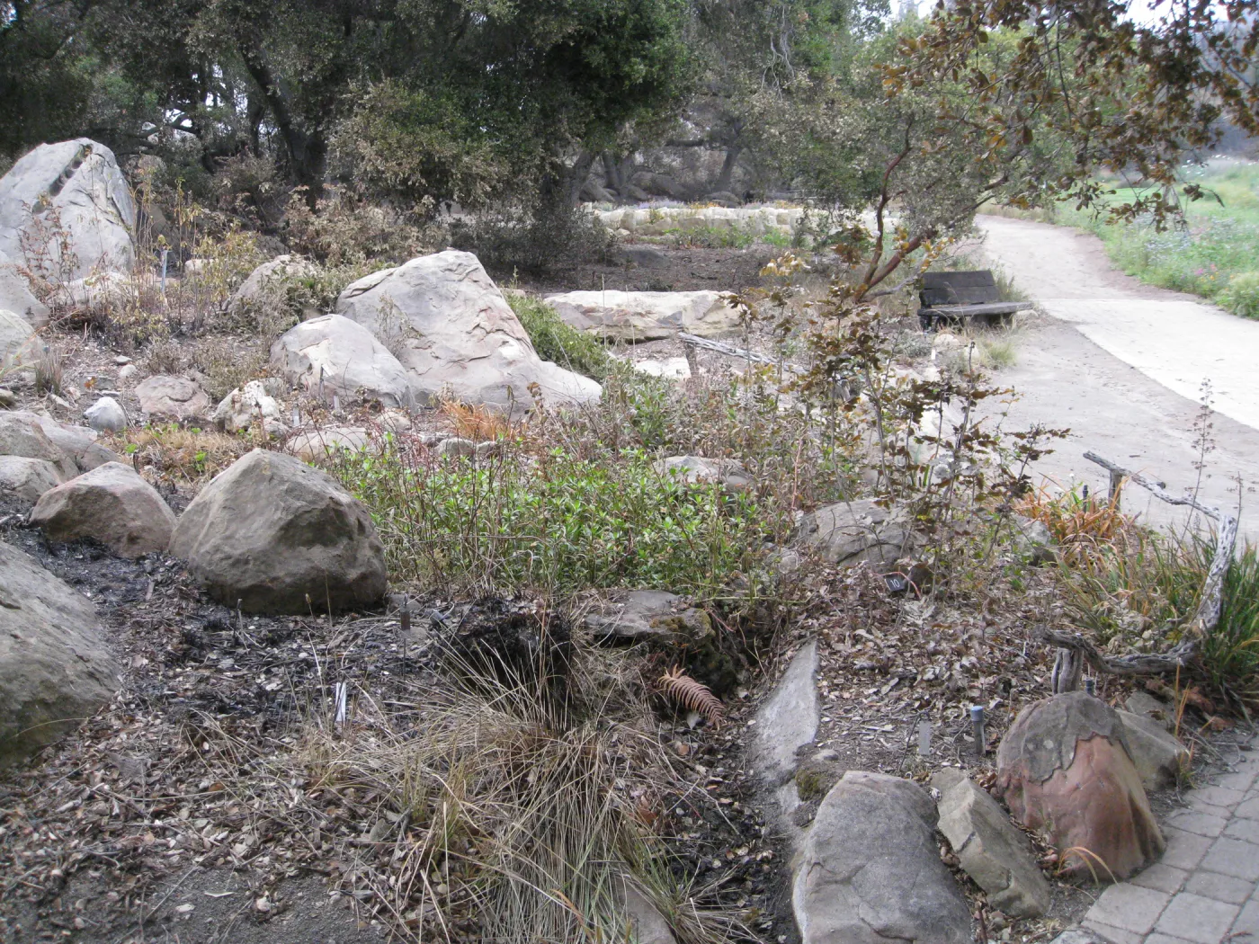 Brook display after the Jesusita Fire