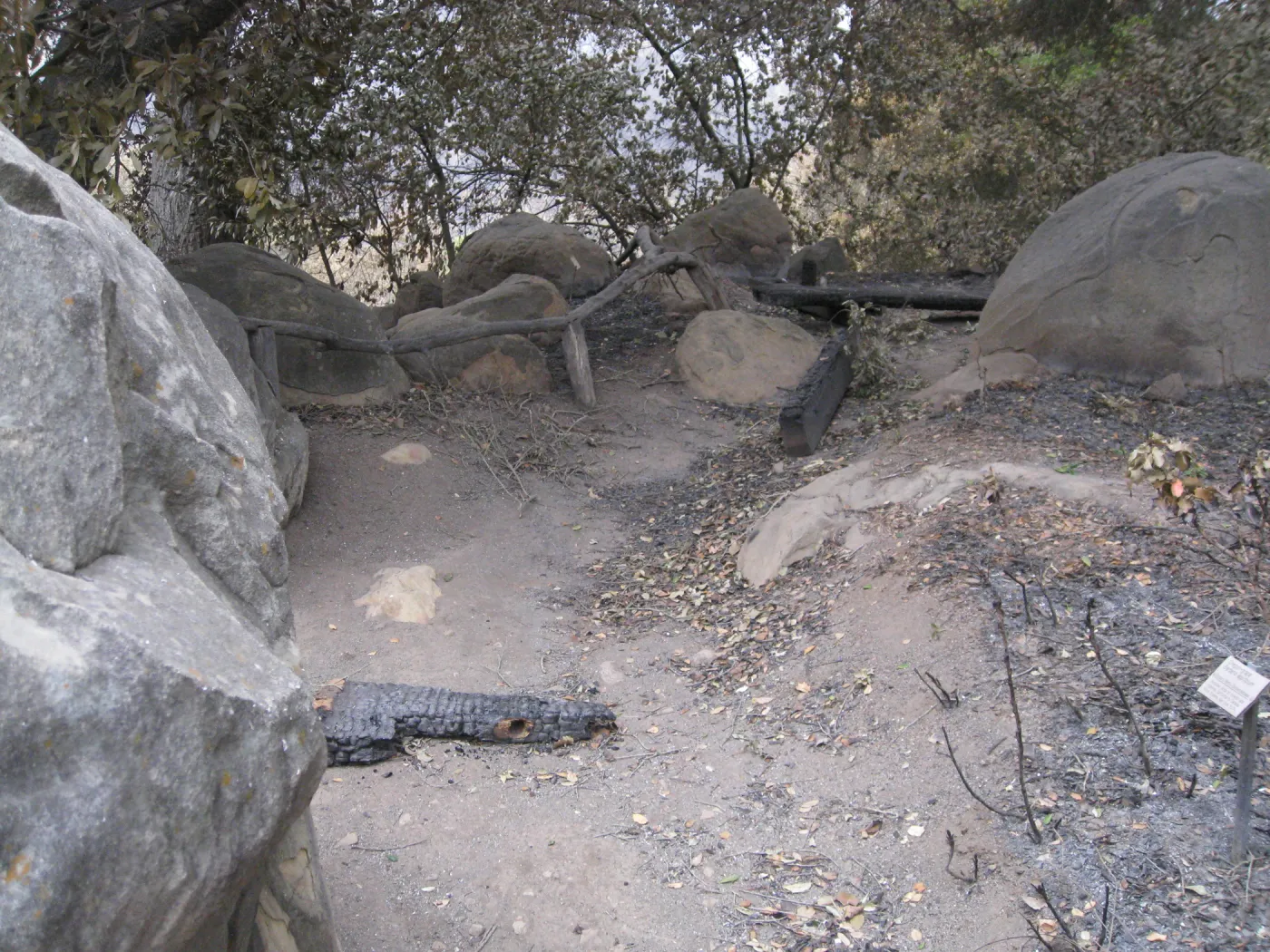 Meadow oaks/canyon overlook after the Jesusita Fire