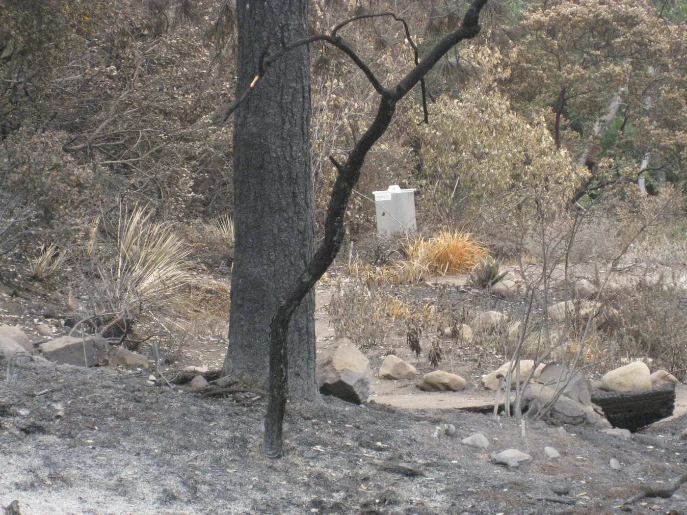 Meadow View display after the Jesusita Fire