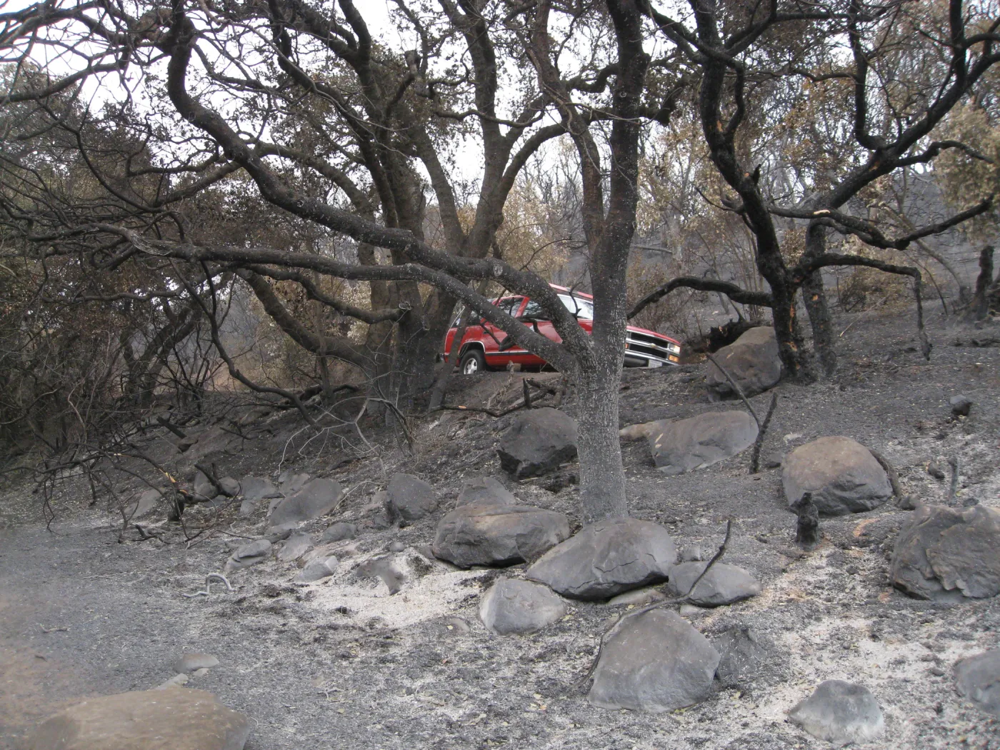 Mission Canyon Rd from top of the Woodland Trail after the Jesusita Fire