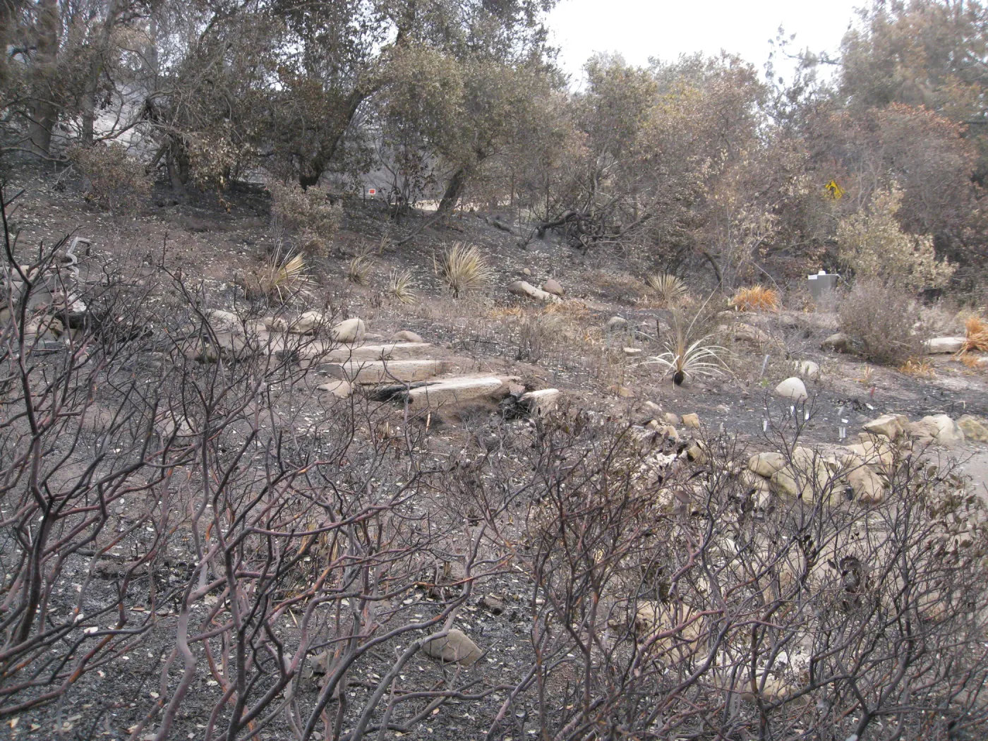 Meadow View after the Jesusita Fire