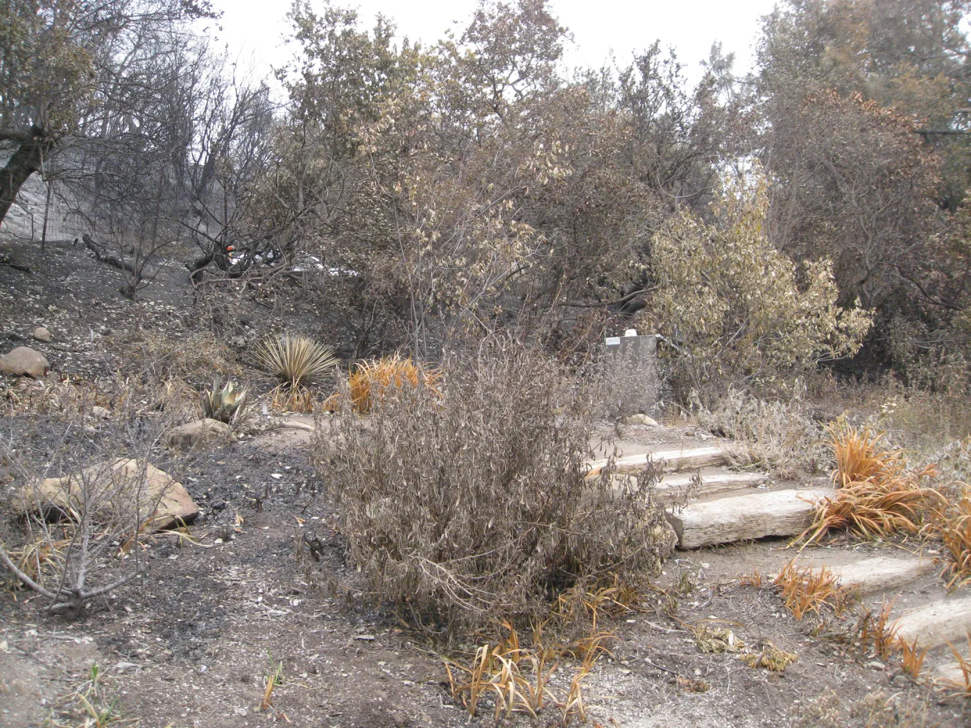 Meadow View upper steps after the Jesusita Fire