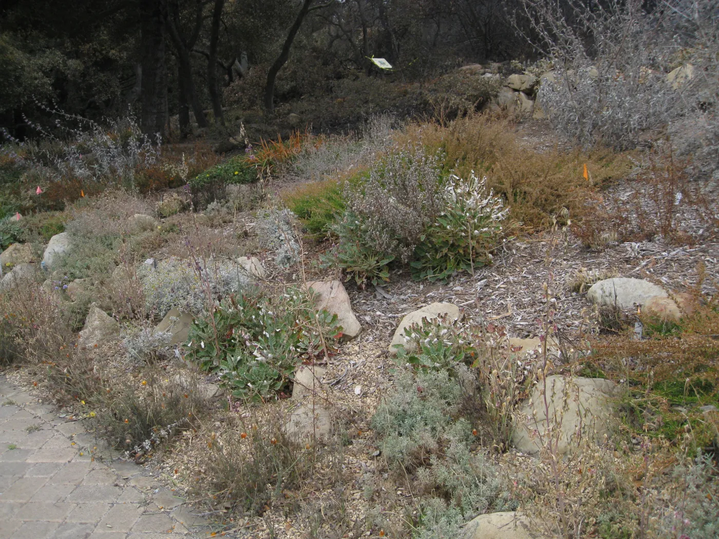 Meadow View after the Jesusita Fire