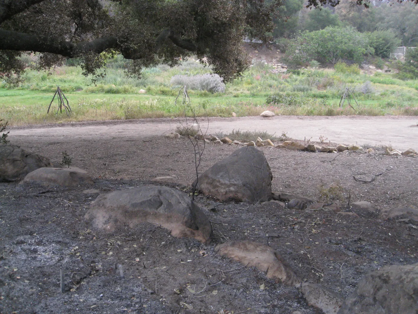 View from Meadow Oaks to Meadow after the Jesusita Fire