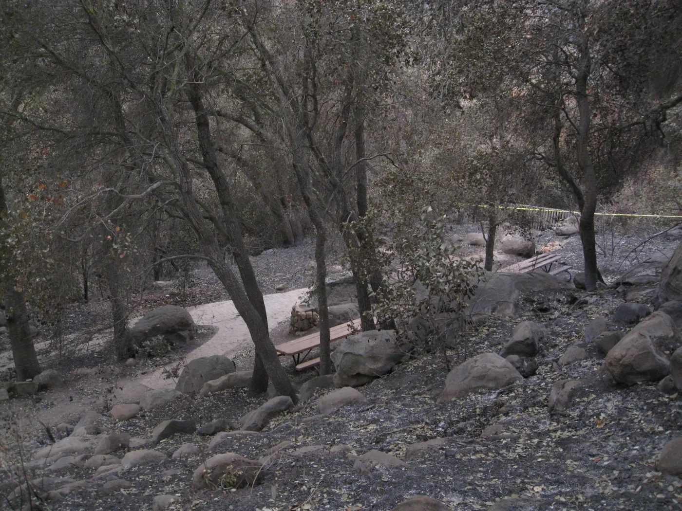 View from top of Campbell Trail to the picnic area after the Jesusita Fire