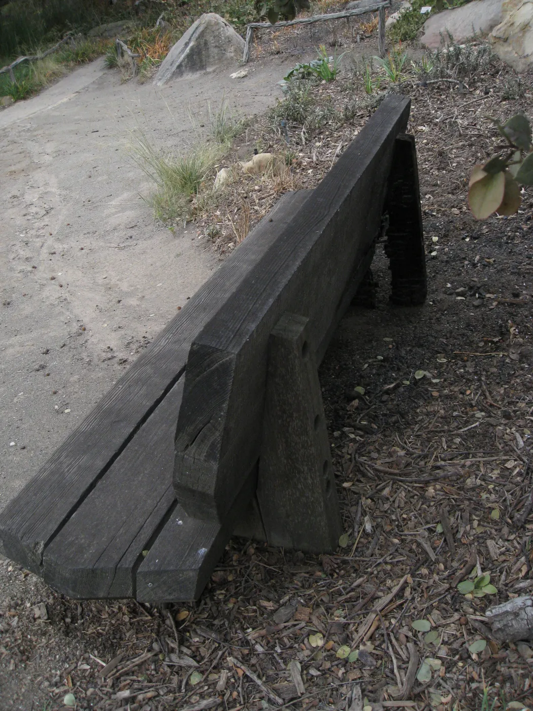 Unburned wood bench above Pond after the Jesusita Fire