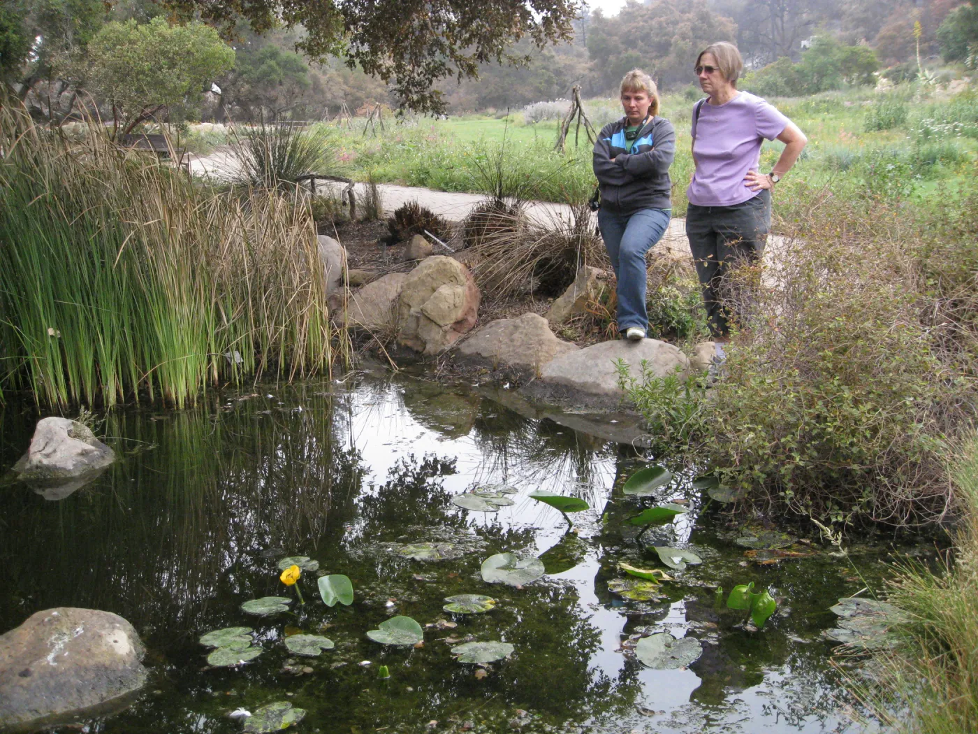 Tricia Wardlaw and Joan Ariel observe damage after the Jesusita Fire